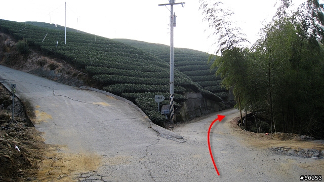 南投縣 竹山→投49鄉道→大人凍林道→軟鞍八卦茶園