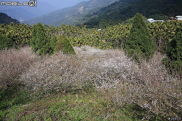 原厰新勁戰三橫環半島09.01.12-01.15...圖多小心