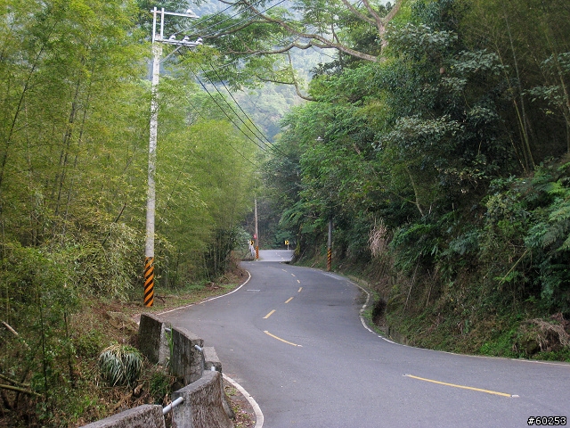 南投縣 竹山→投49鄉道→大人凍林道→軟鞍八卦茶園