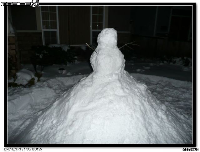 雪地裡的小Q