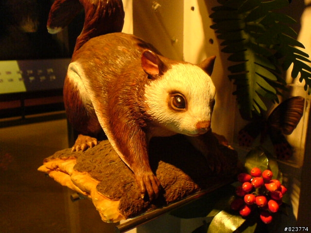 2/9-2/13五天四夜 帶著重感冒環島