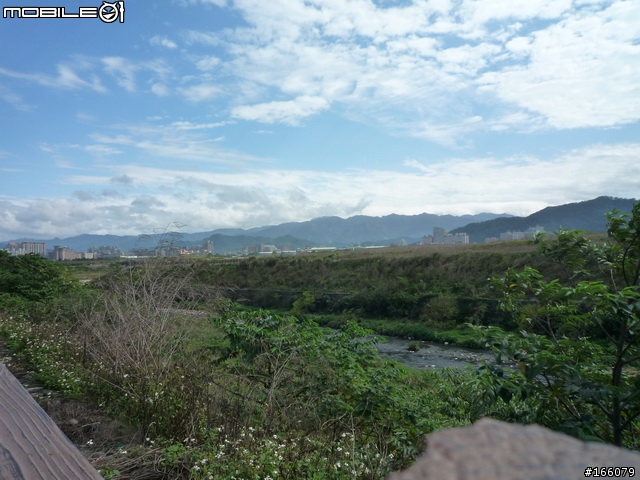 鶯歌樹林半日行