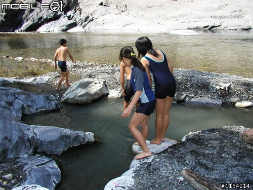 新竹縣尖石鄉泰崗野溪溫泉一日遊