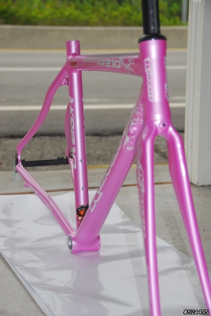 謹獻給辛苦的、親愛的女王~KINESIS KR-210L~20090224 PINK LADY開箱囉~