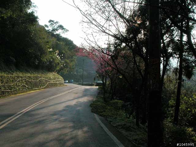 台北4P大滿貫(附航跡圖)