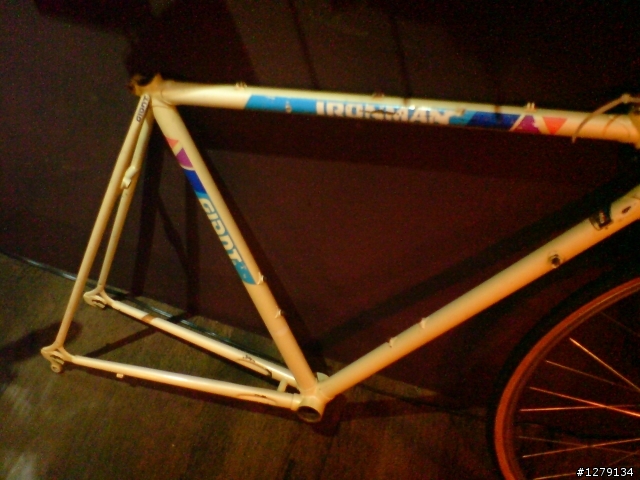 [分享]IRONMAN老鋼管車復活~