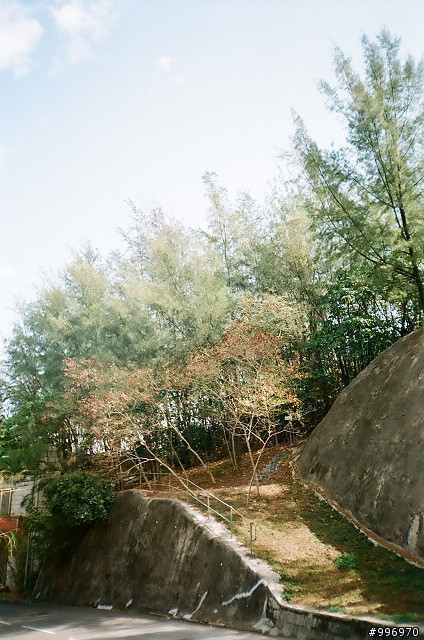 (HK)元的驚喜,Fujifilm 超傻瓜機....(相片及心得分享)