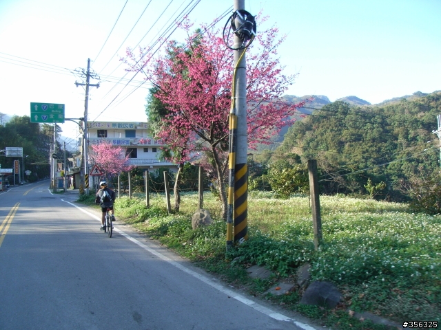 [寒假作業] 小五生單車成人禮-北橫公路單車一日行