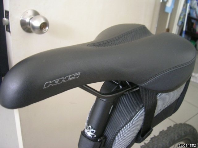 (分享)入門登山車S420
