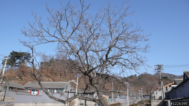 慕田峪長城騎遊記