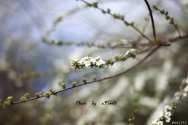 [分享] SIGMA 50mm F1.4 on 5D2 試拍