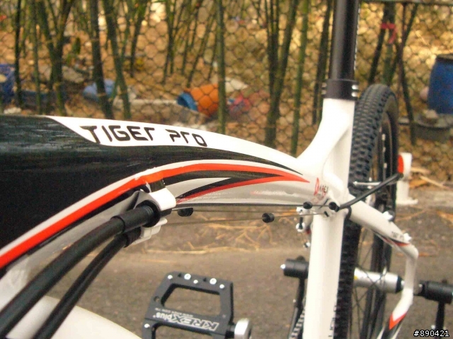 年終獎金包養了這個小老婆~~愛駒現世~~拉拉拉