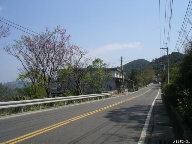 橘子滾吧  坪林  北宜行