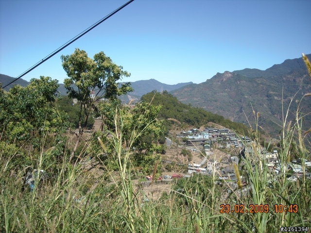 和阿禮櫻花的約定...人氣858回應1個耶