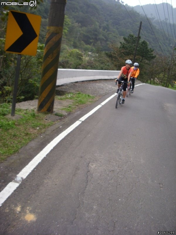 【 分享 】八連路上五指山賞櫻行