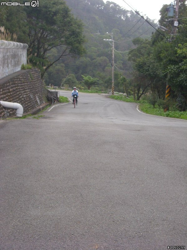 【 分享 】八連路上五指山賞櫻行