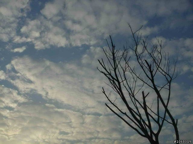小紅龍初行記