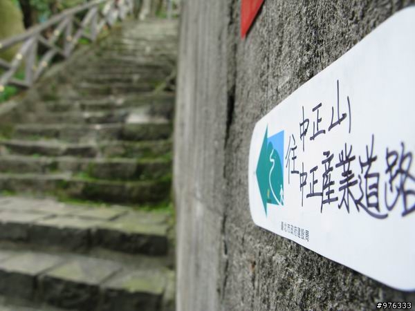 [分享]漫步．櫻花雨路:莫名其妙之中正山越嶺復興三路