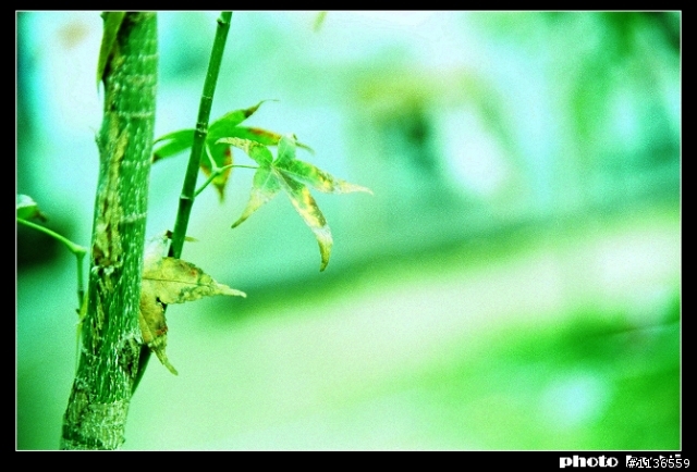 【冬日‧午後】AGFA CT X100 正沖負
