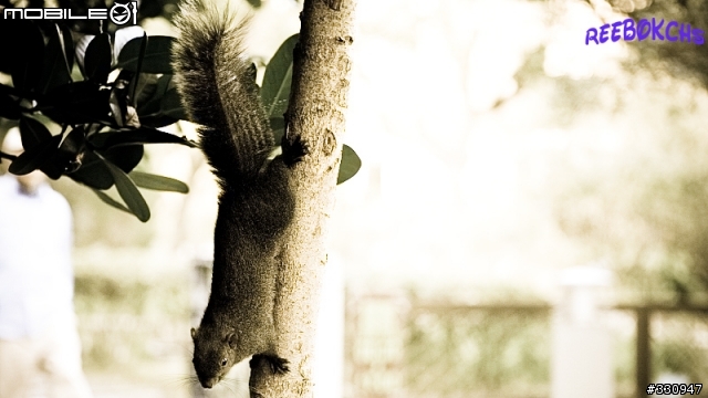 :::台北植物園:::