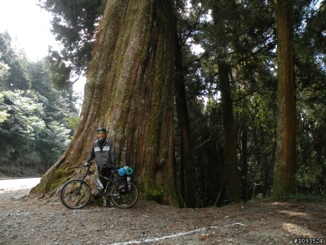 阿里山與新中橫 三天兩夜單車行(1/24~1/26)