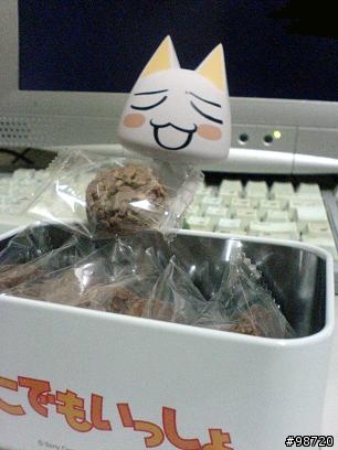 2009 TGS TORO貓巧克力