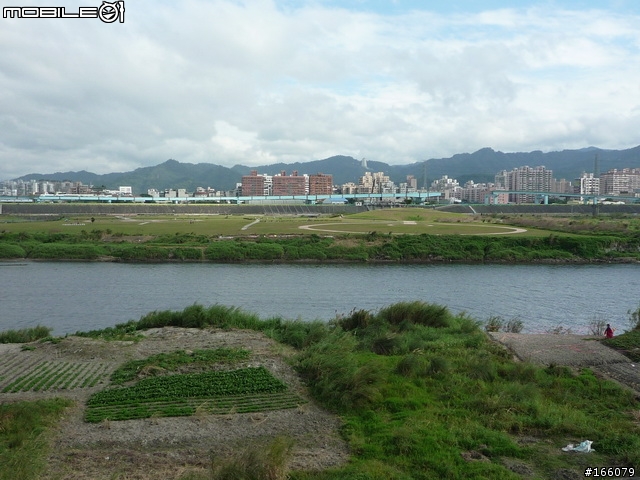 鶯歌樹林半日行