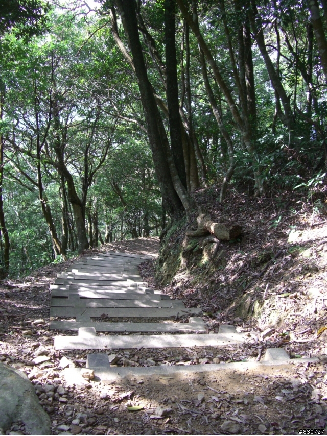 東眼山越嶺完全攻略＋意外的賞櫻之旅