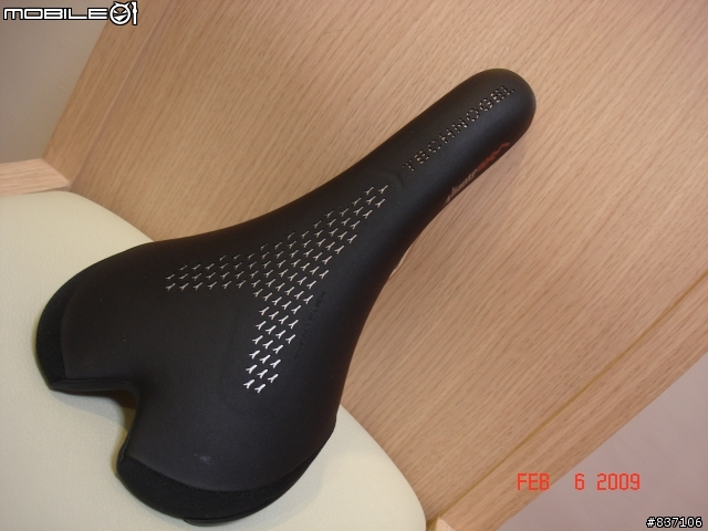 [分享] Fi'zi:k(Fizik) Aliante Gamma XM坐墊