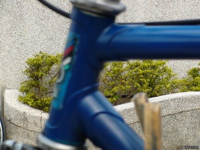 疑似colango 趴兔