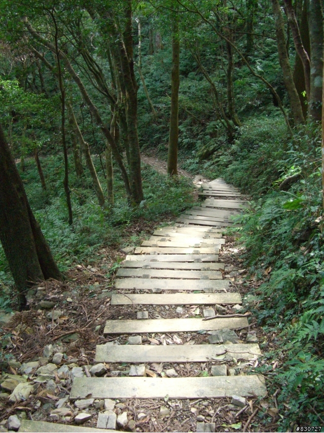東眼山越嶺完全攻略＋意外的賞櫻之旅