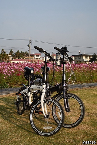 [分享] 美濃花旅與17公里海岸線(組圖)