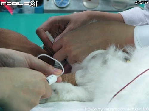Nini與惡性腫瘤奮鬥過程全記錄(5/23更新-完結篇 詳情請看第一頁)