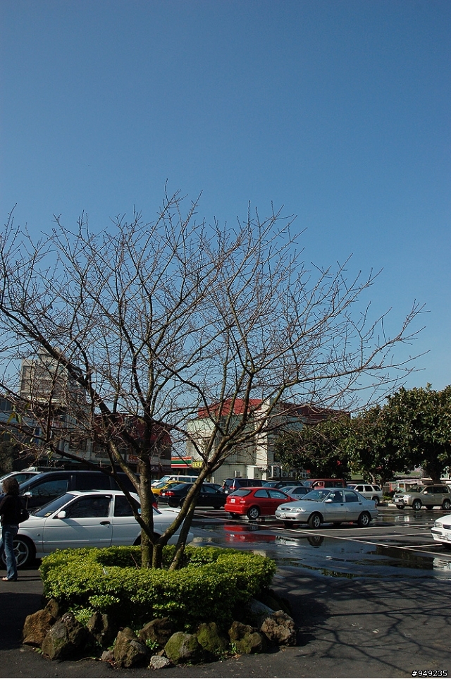 已結束"巴拉卡之一點都不休閒賞櫻"外加"三芝老地方"