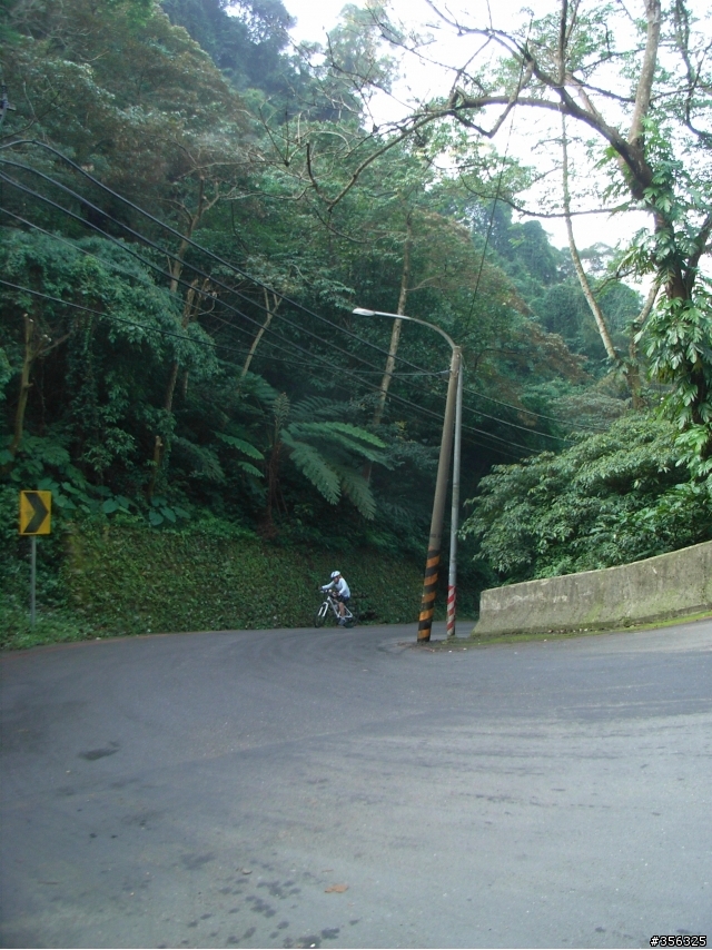 [寒假作業] 小五生單車成人禮-北橫公路單車一日行