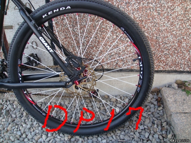 *小改裝分享*___IGUANA DISC,歡迎來討論!