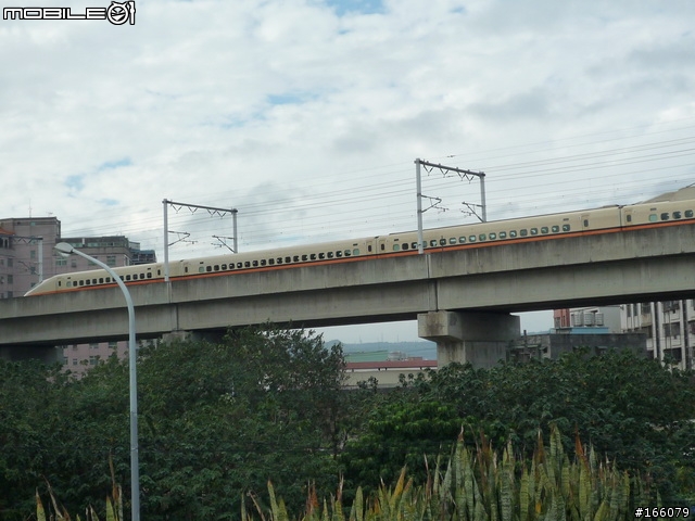 鶯歌樹林半日行