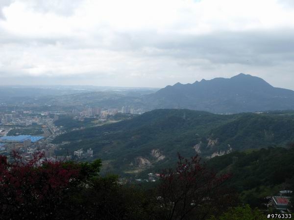 [分享]漫步．櫻花雨路:莫名其妙之中正山越嶺復興三路