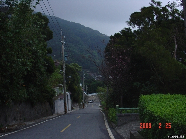 北投賞櫻花、花沒開之新路線~小楊桃路線(1)