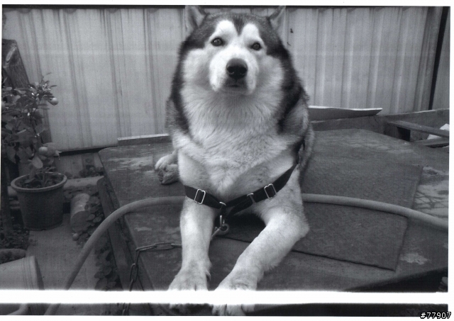 請問這是???我的c525a掛了嗎???