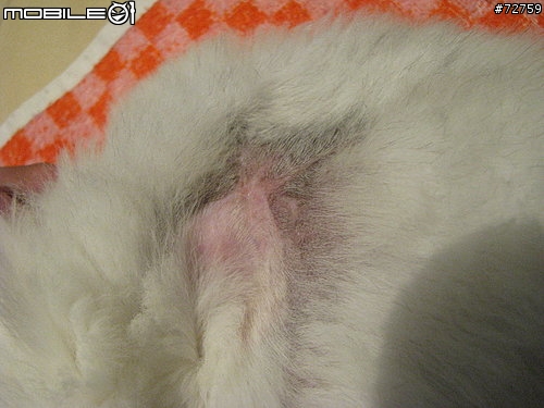 Nini與惡性腫瘤奮鬥過程全記錄(5/23更新-完結篇 詳情請看第一頁)