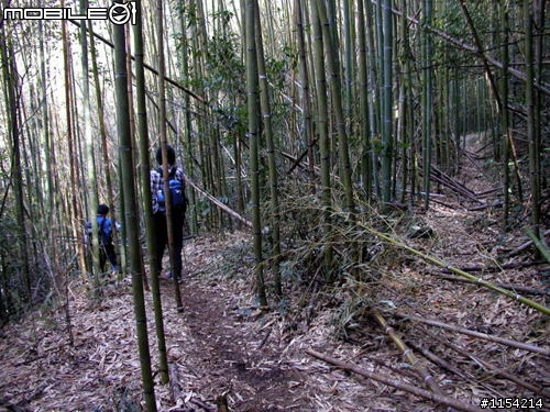 新竹縣尖石鄉泰崗野溪溫泉一日遊