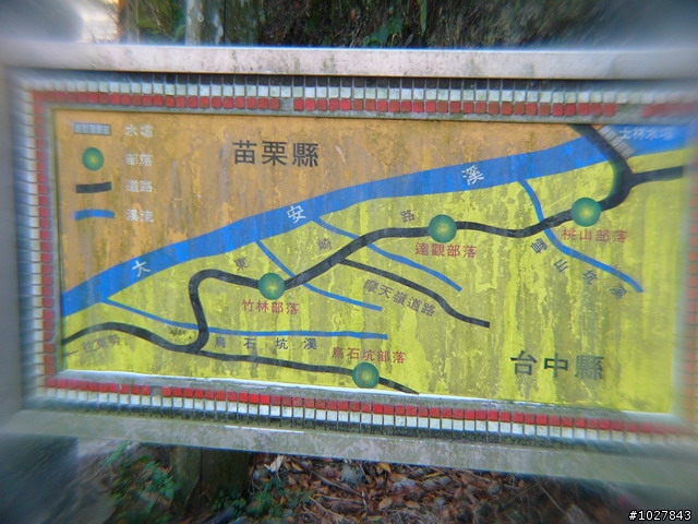 台中.東勢.士林.象鼻.梅園.天狗.司馬限林道.大湖.台中