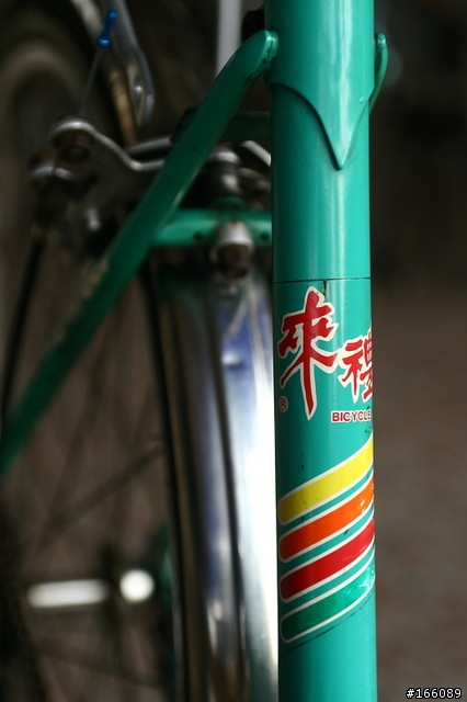 老媽的鋼管車 - Raleigh Lafound Sport