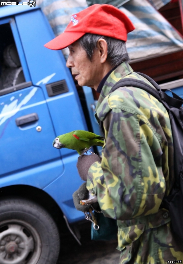 正月十一 關渡媽遶境北投