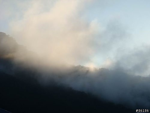 【老弱組】1/31宇老大滿貫