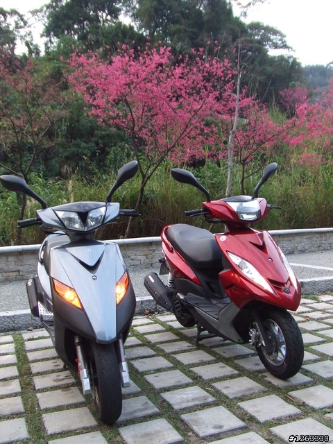 ♥ YAMAHA～GTR ＆ GTR AERO 之評比與介紹 !