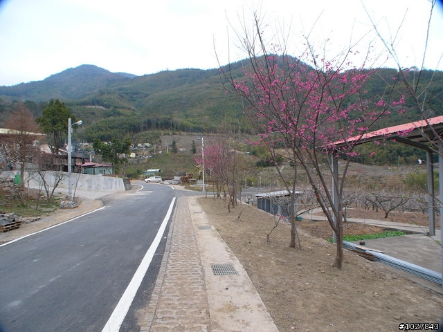 台中.東勢.士林.象鼻.梅園.天狗.司馬限林道.大湖.台中