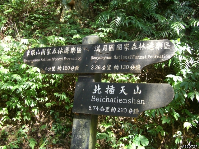 東眼山越嶺完全攻略＋意外的賞櫻之旅
