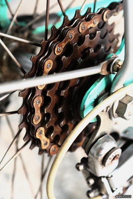 老媽的鋼管車 - Raleigh Lafound Sport